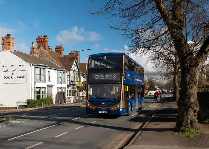 Stableside At Racecourse
