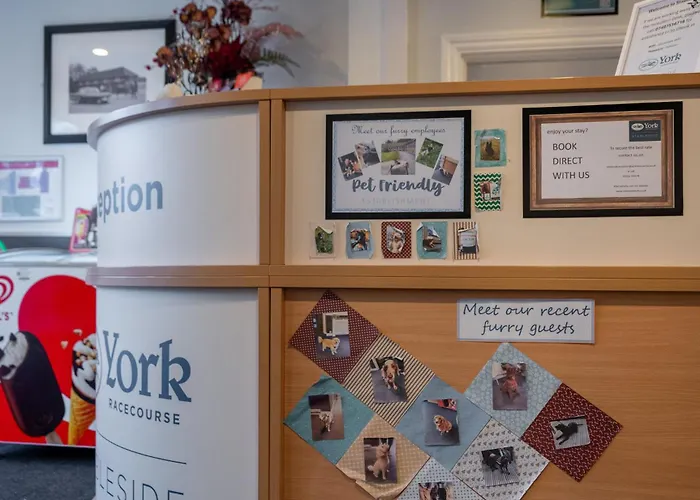 Stableside At Racecourse 3*