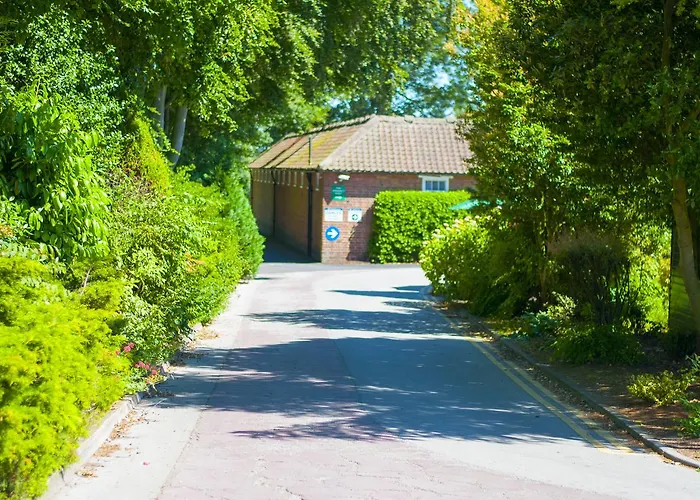 Stableside At Racecourse