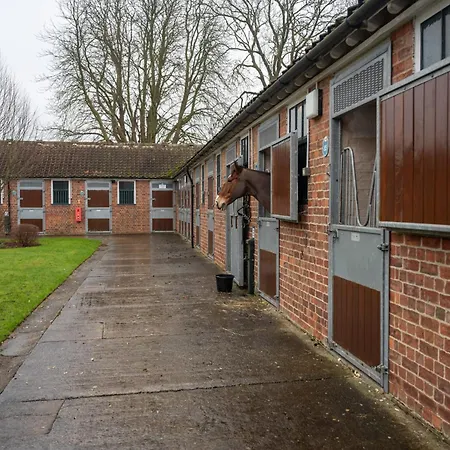 Stableside At Racecourse York