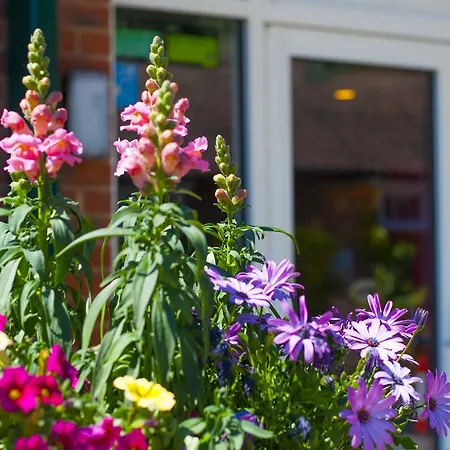 Hotel Stableside At Racecourse York