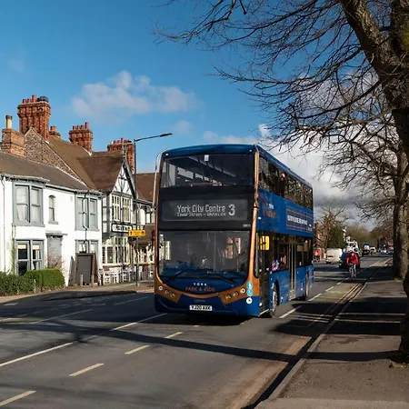 Stableside At Racecourse