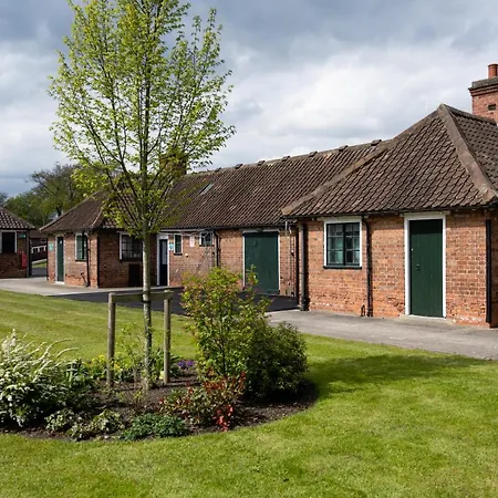 Stableside At Racecourse