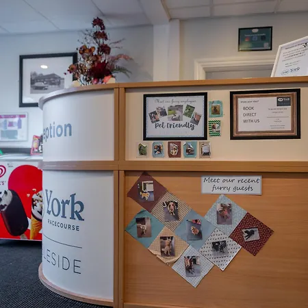 Stableside At Racecourse 3*