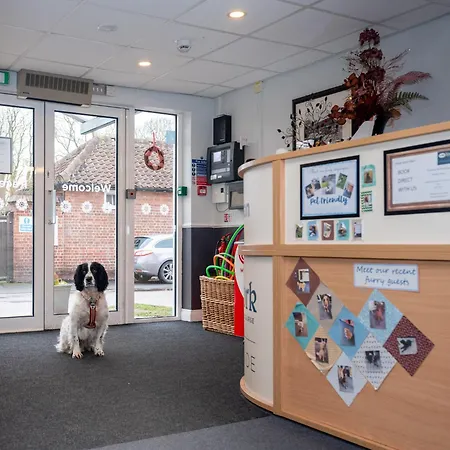 Stableside At Racecourse يورك