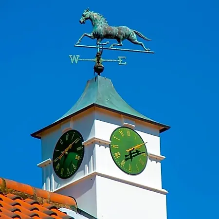 Stableside At Racecourse