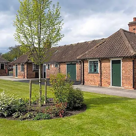 Stableside At Racecourse 3*