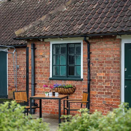 Stableside At Racecourse