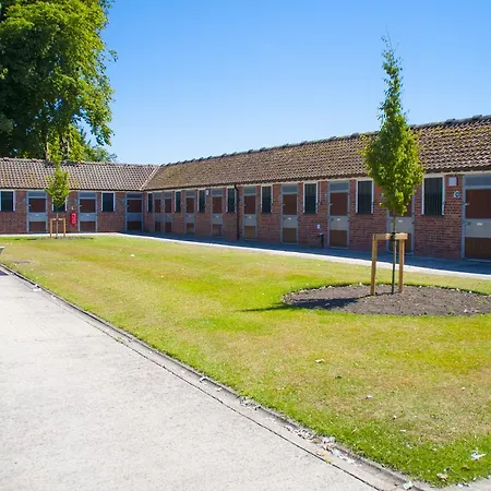 Stableside At Racecourse 3*