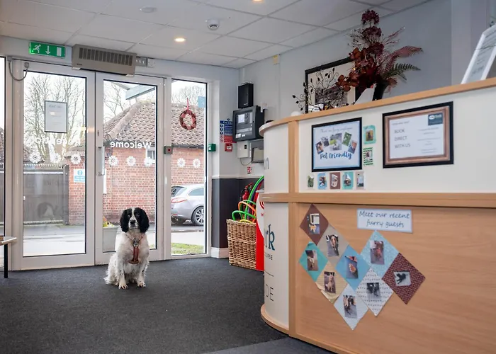 Stableside At Racecourse يورك