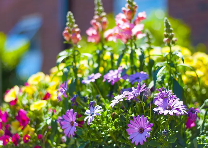 Stableside At Racecourse 3*