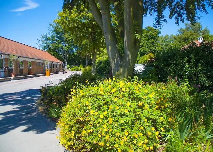 Stableside At Racecourse يورك