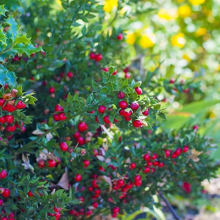 Stableside At Racecourse 酒店 3*