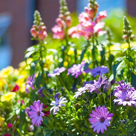 Stableside At Racecourse 3*