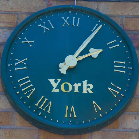 Stableside At Racecourse 3*