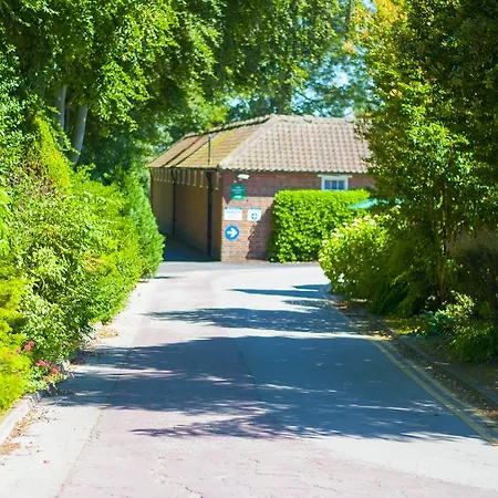 Stableside At Racecourse