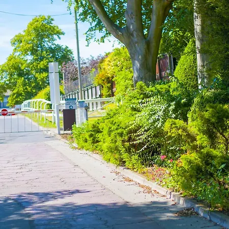 Stableside At Racecourse