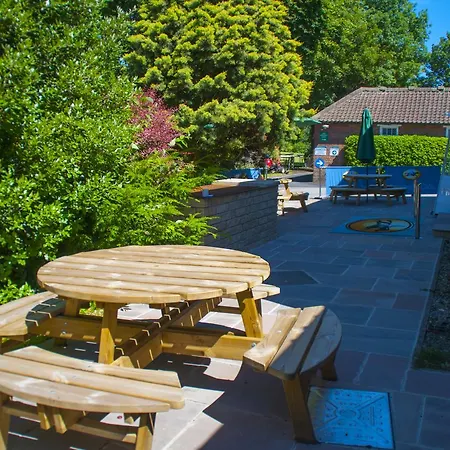 Stableside At Racecourse 3*