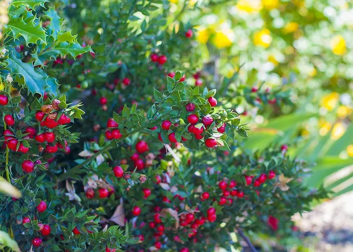 Stableside At Racecourse Hotel 3*