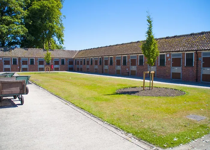 Stableside At Racecourse 3*