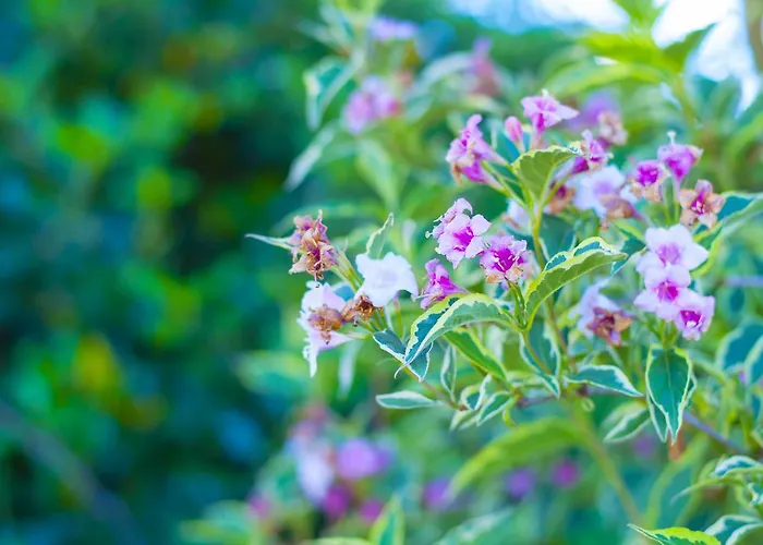 Hotel Stableside At Racecourse