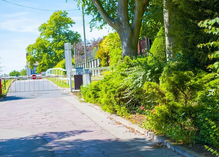 Stableside At Racecourse
